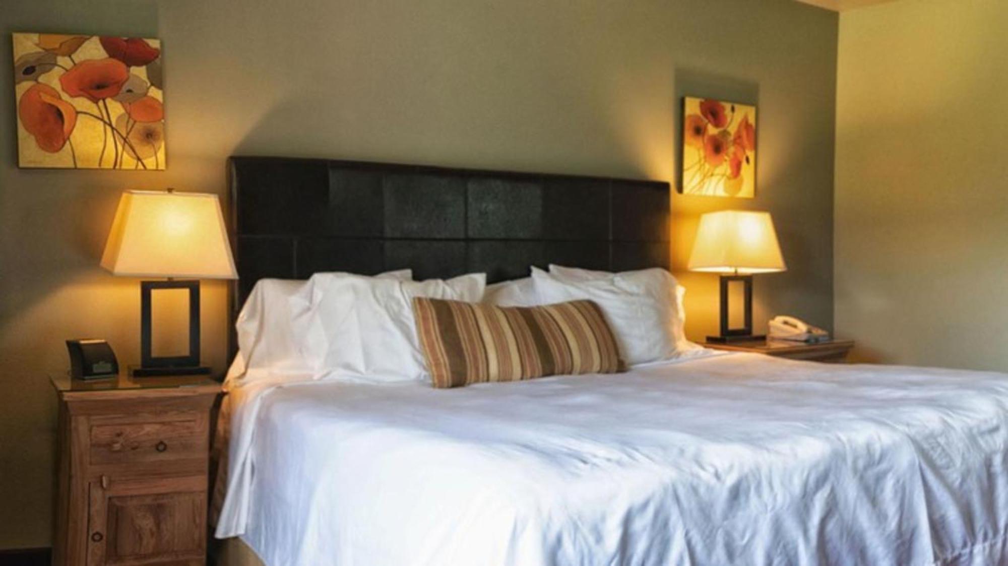 Driftwood Lodge Springdale Εξωτερικό φωτογραφία
