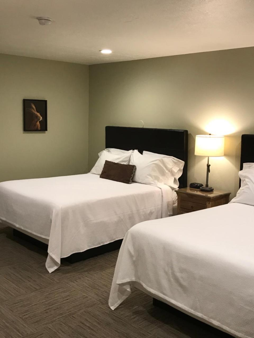 Driftwood Lodge Springdale Εξωτερικό φωτογραφία